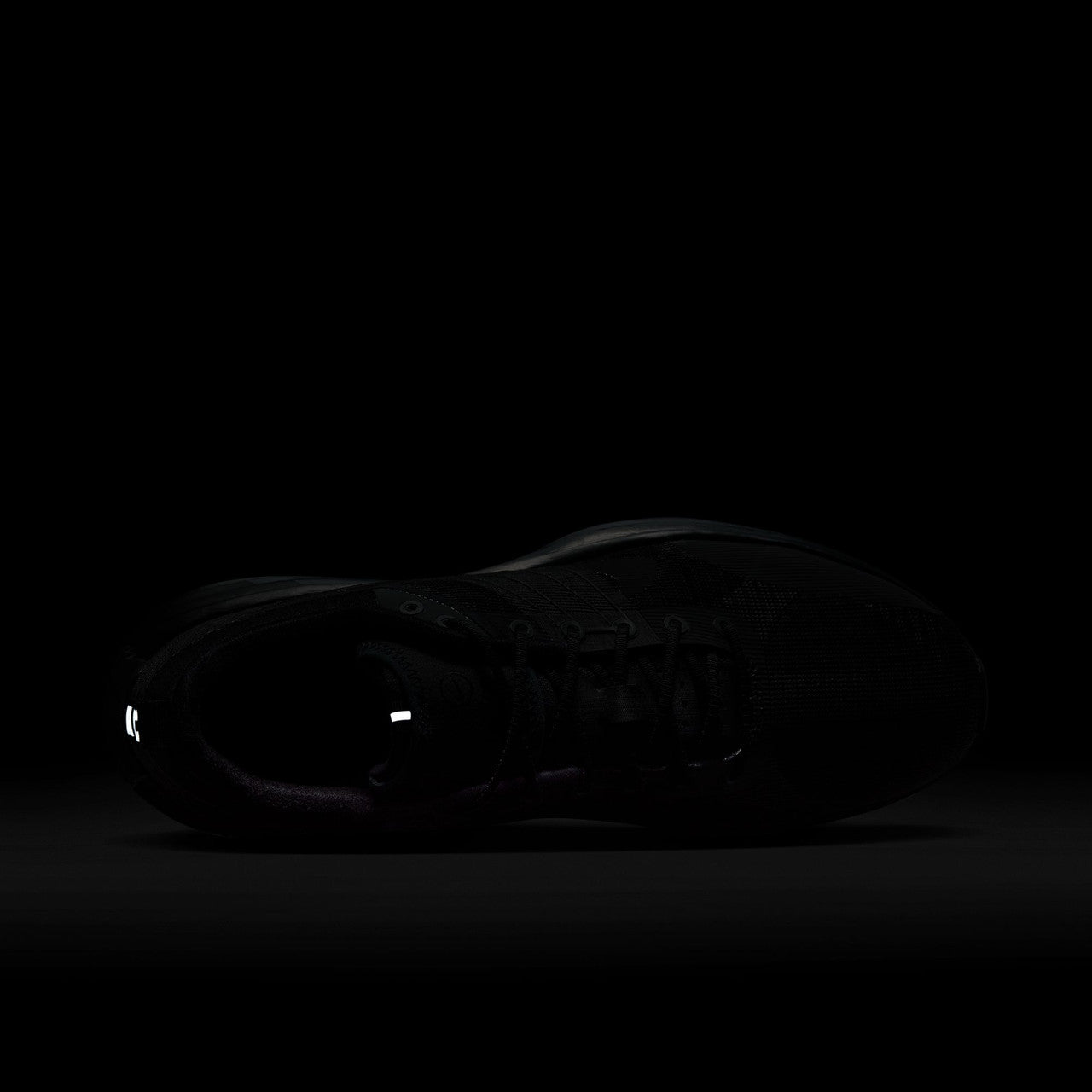 Lunar Roam | DV2440-002