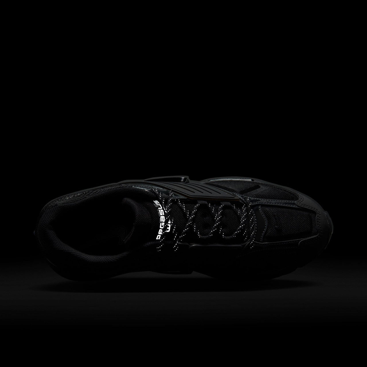 Air Pegasus Wave | IB0612-001