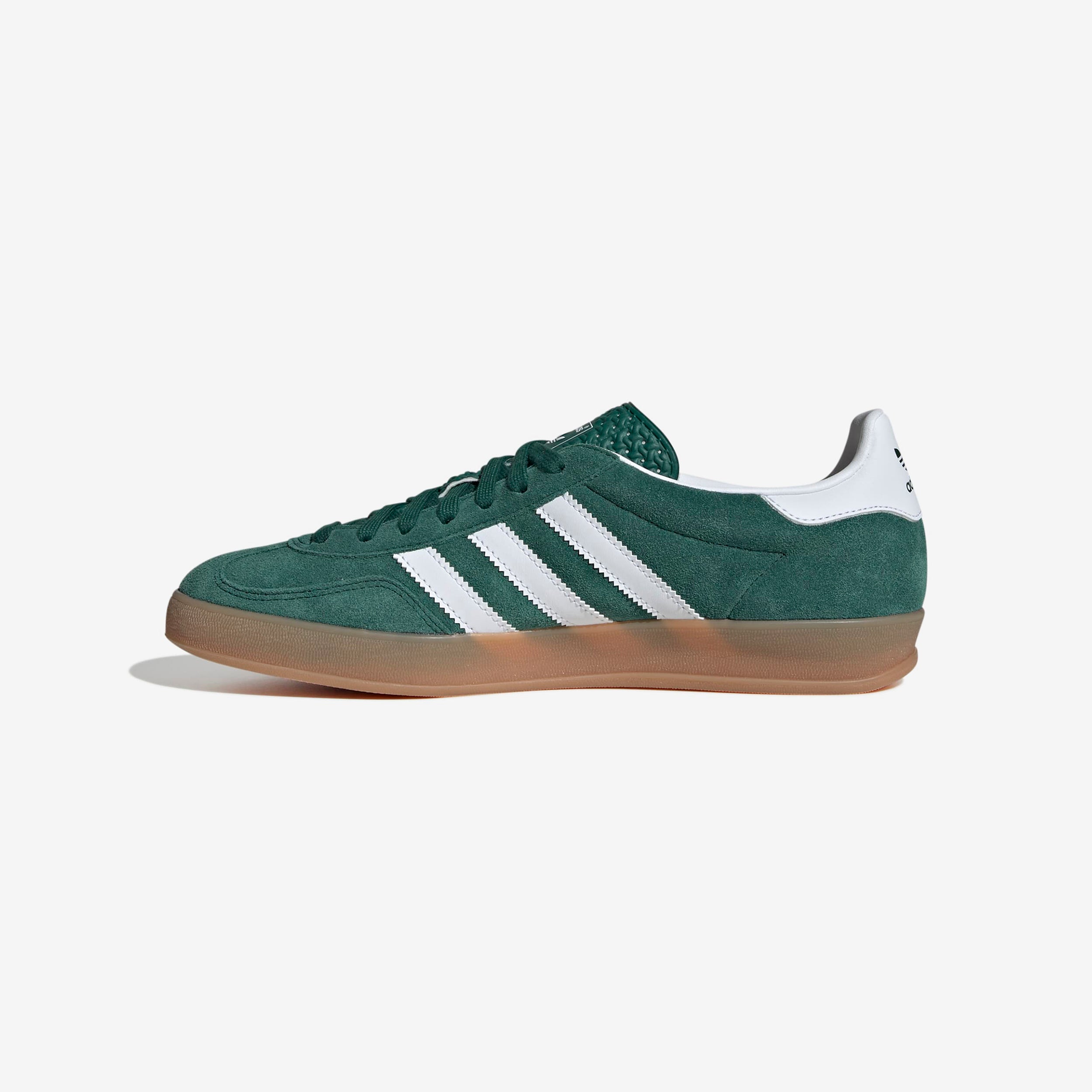 Gazelle Indoor