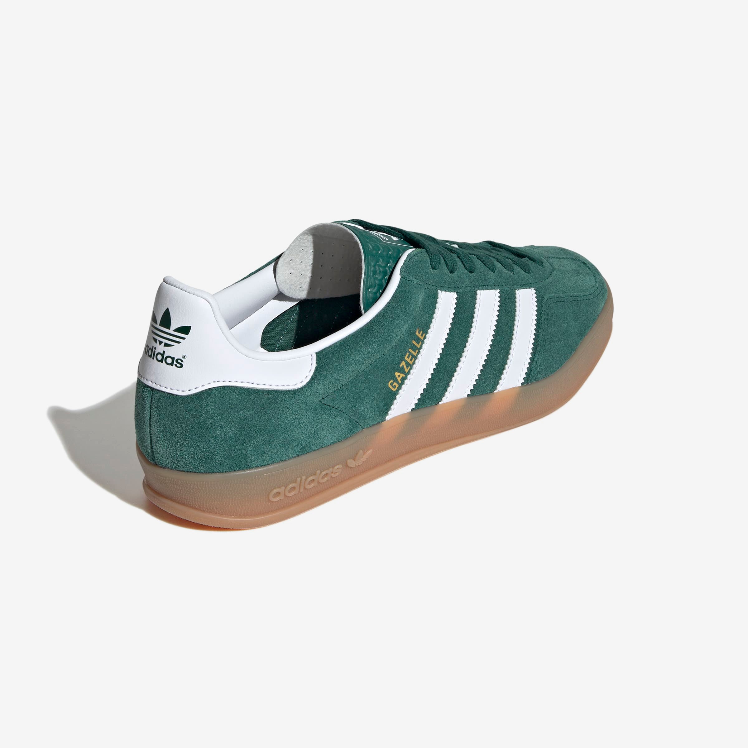 Gazelle Indoor